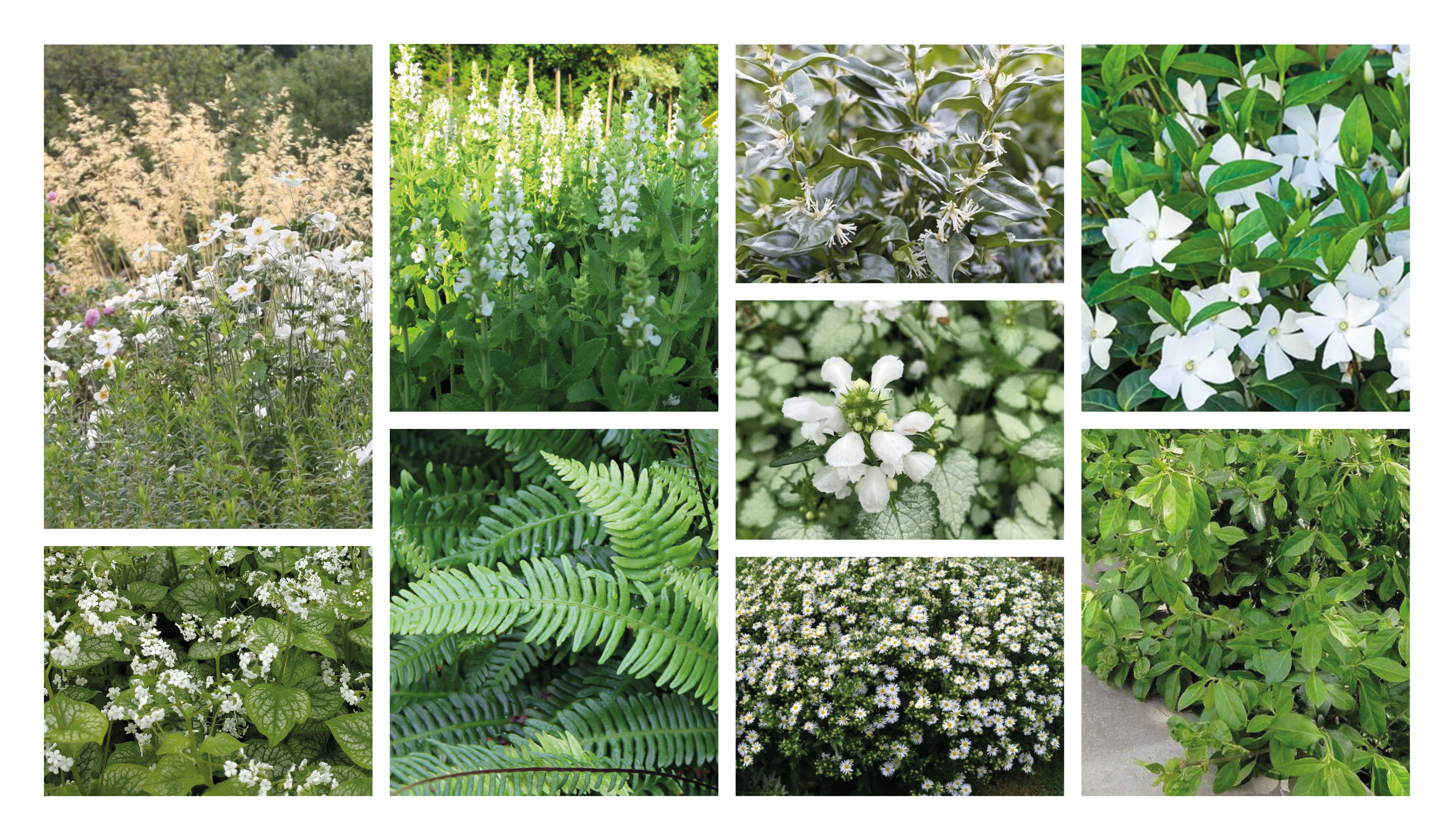 Edisonstraat optie 1 - wit