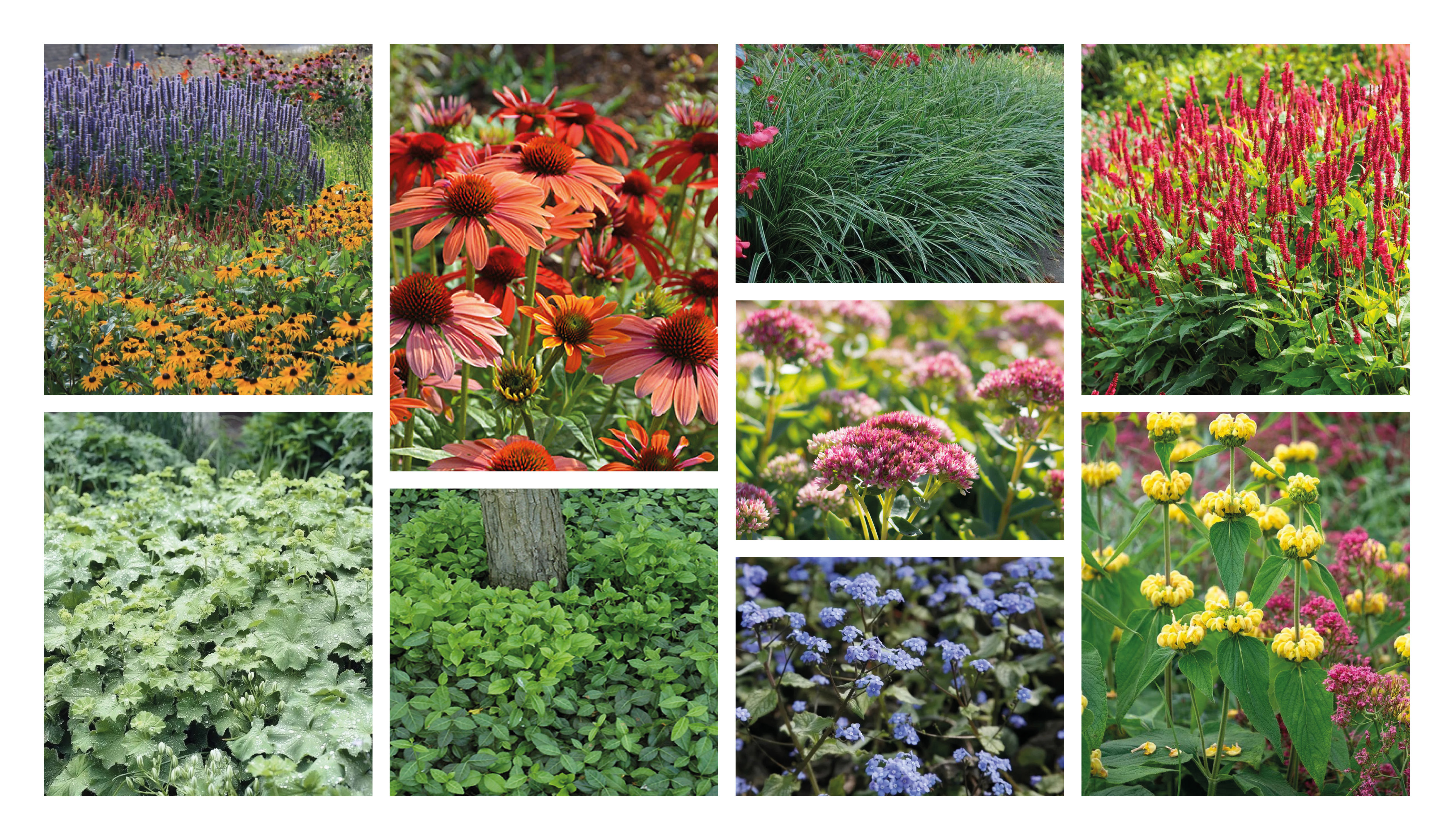 Edisonstraat optie 4 - bonte mix