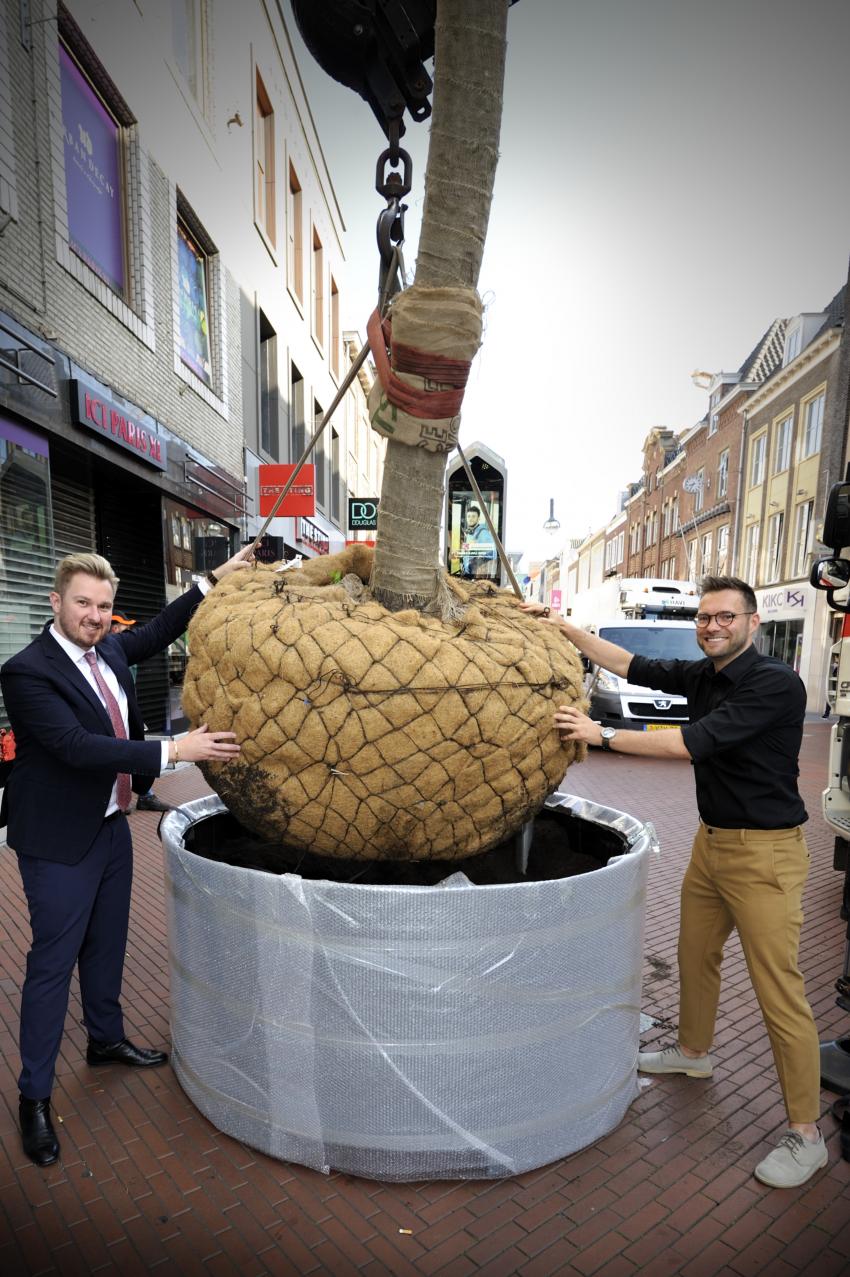 Eerste boom op de Demer geplaatst door wethouder Rik Thijs