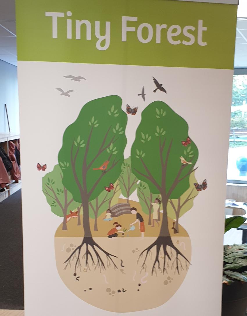 Banner van het project Tiny Forest