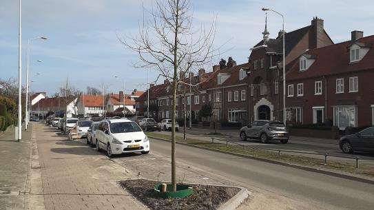 Klik voor een vergroting