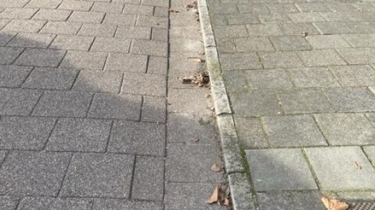 Klik voor een vergroting