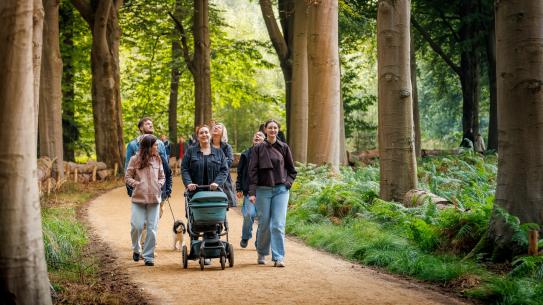 Wandelaars in het bos tijdens het openingsweekend Lichtbos Vibes, klik voor een vergroting