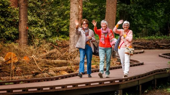 Een groep dames wandelt tijdens het openingsweekend Lichtbos Vibes, klik voor een vergroting