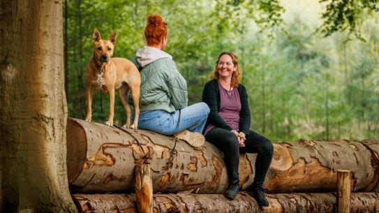 Bezoekers genieten van de natuur in De Wielewaal, klik voor een vergroting