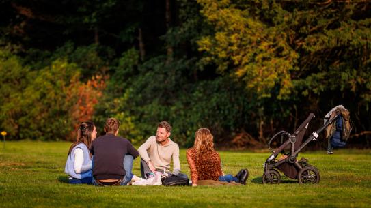 Bezoekers zitten op het gras tijdens het openingsweekend Lichtbos Vibes, klik voor een vergroting