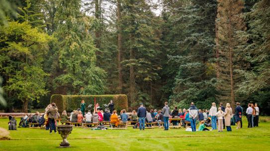 Een publiek geniet van live muziek tijdens Lichtbos Vibes, klik voor een vergroting