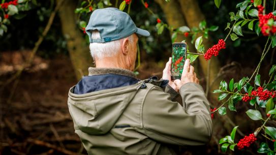 Een bezoeker bewondert het groen, klik voor een vergroting