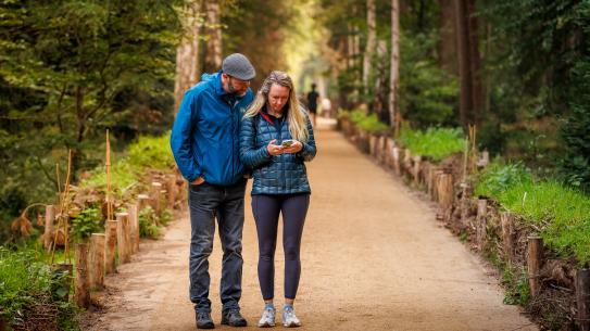 Bezoekers raadplegen hun telefoon in het bos, klik voor een vergroting