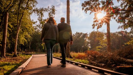 Bezoekers wandelen door De Wielewaal, klik voor een vergroting