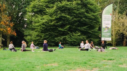 Een yogales in het gras, klik voor een vergroting