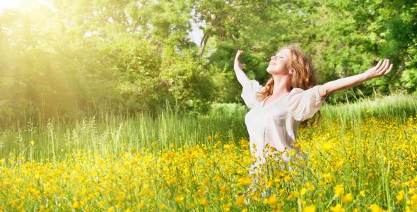 Deze afbeelding geeft een impressie van Lichtbos Healing 