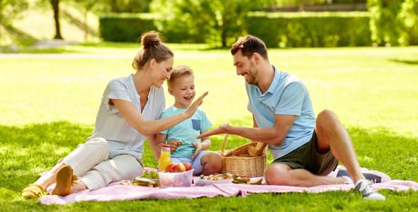 Deze afbeelding geeft een impressie van een picknick