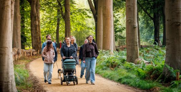 Wandelaars in het bos tijdens het openingsweekend Lichtbos Vibes