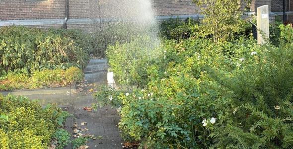 De planten en struiken in het plantsoen naast de Catharinakerk worden besproeid