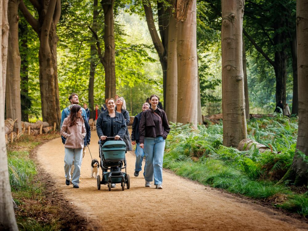 Wandelaars in het bos tijdens het openingsweekend Lichtbos Vibes