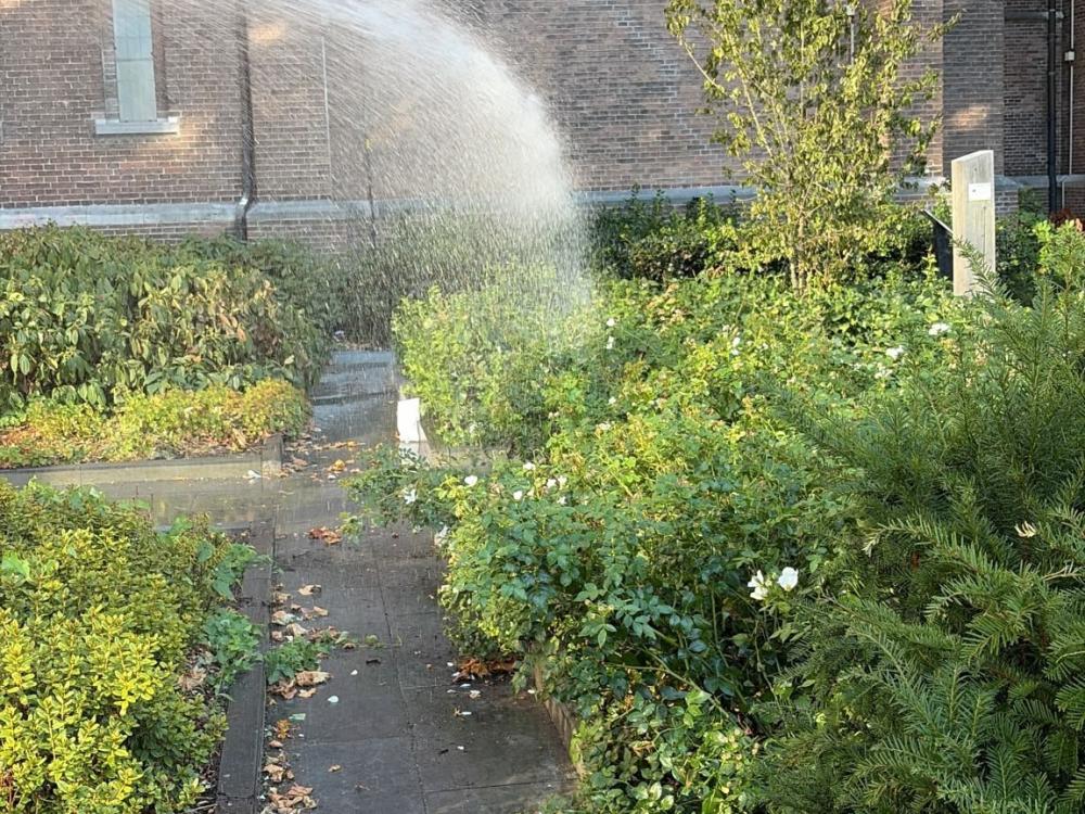 De planten en struiken in het plantsoen naast de Catharinakerk worden besproeid